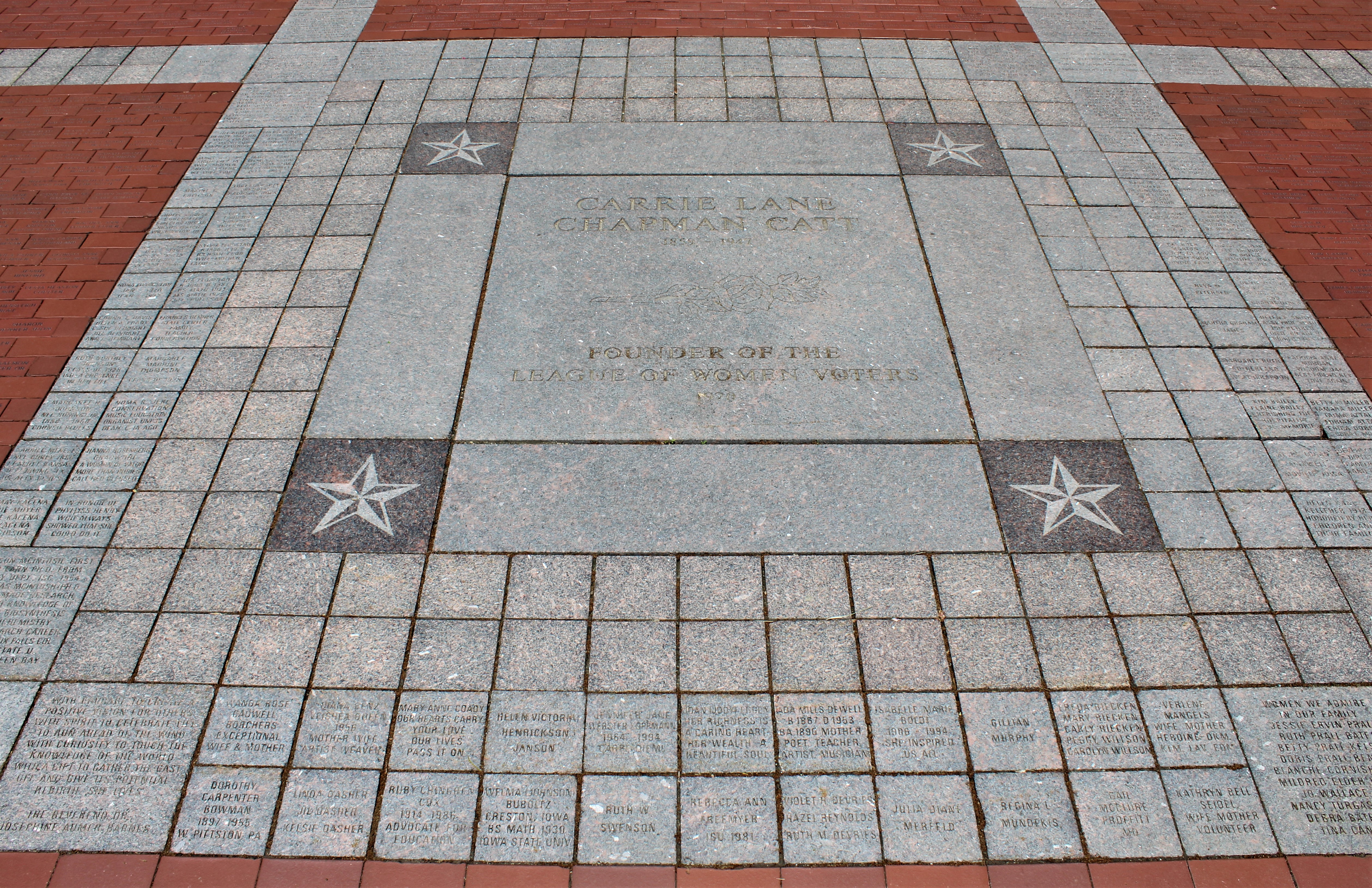 closeup photo